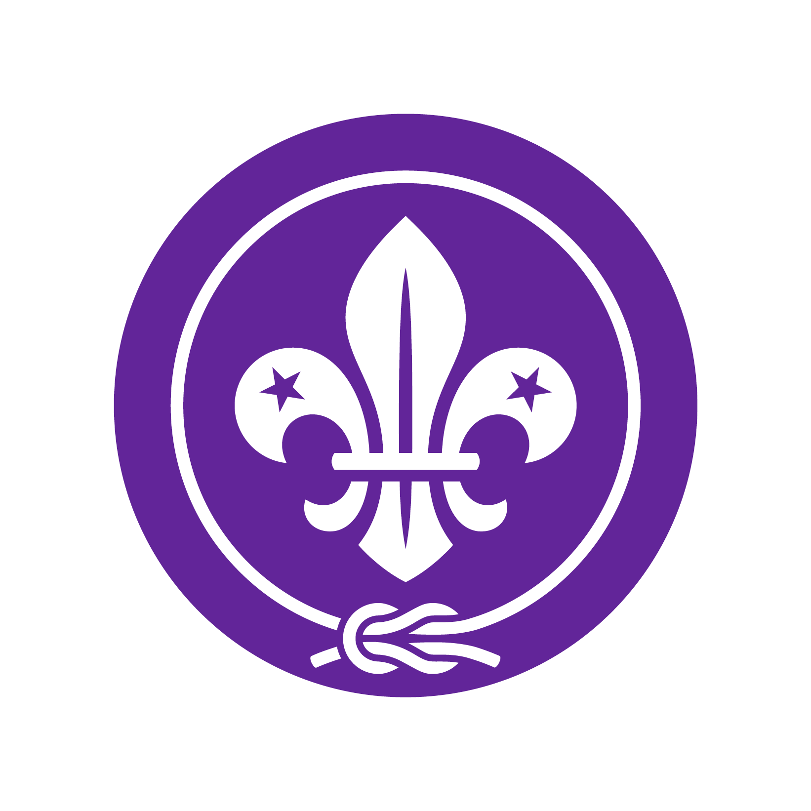 Scouts logo